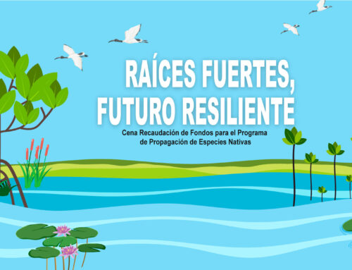Raíces Fuertes, Futuro Resiliente: cena de recaudación