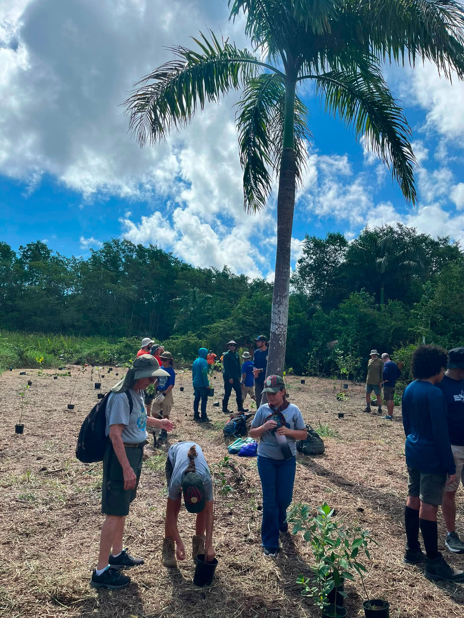 Niños en actividades de reforestación en Corredor del Yaguazo